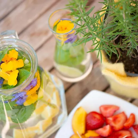 Die Finca Szálloda Hünfeld