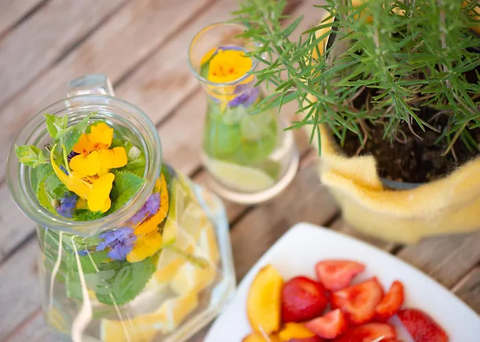 Die Finca Hotel Hünfeld